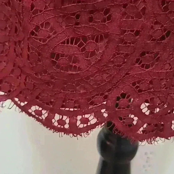 Ann Taylor lace burgundy sheath shift dress - Picture 3 of 3